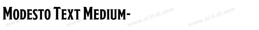 Modesto Text Medium字体转换